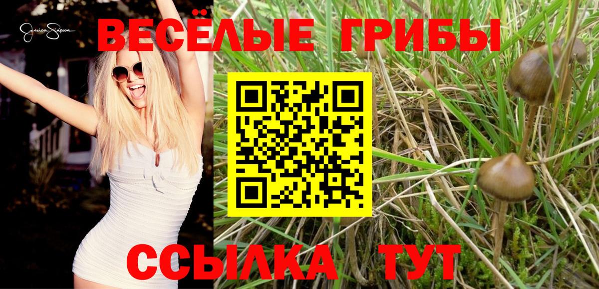 цена наркотик  Галлюциногенные грибы GOLDEN TEACHER  Вход с VPN  Чехов 