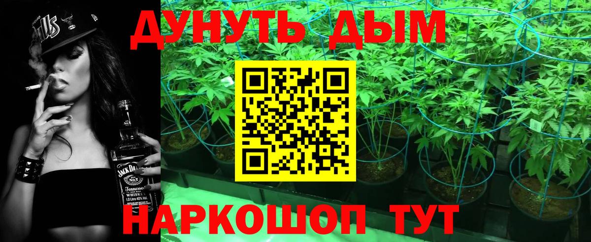 Бошки марихуана VHQ  Конопля White Widow  Марихуана конопля  Бошки марихуана MAZAR  Вход с VPN  Чехов 